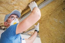 Best Wall Insulation Installation  in St Bonifacius, MN